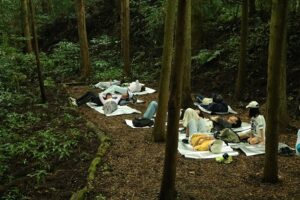 森林の中で寝るセラピー