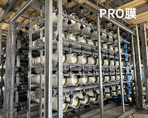 PRO膜