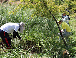 200海里の森づくり（大分県日田市中津江村）