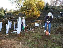 上秋月湖水源の森づくり（朝倉市）
