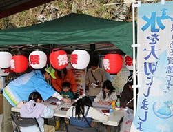 蜂の巣湖桜まつり（大分県日田市中津江村）