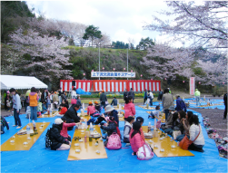 蜂の巣湖桜まつり（大分県日田市中津江村）