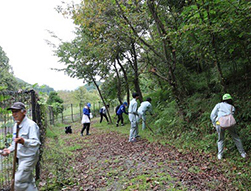 ひと山まるごとガーデニング（大分県日田市大山町）