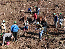 市民参加の森づくり大会（大分県日田市）