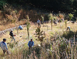 水をつなぐ流域交流in下戸河内（朝倉市）