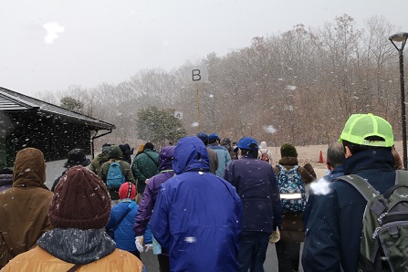 雪が舞う中で駒打ち会場へ移動